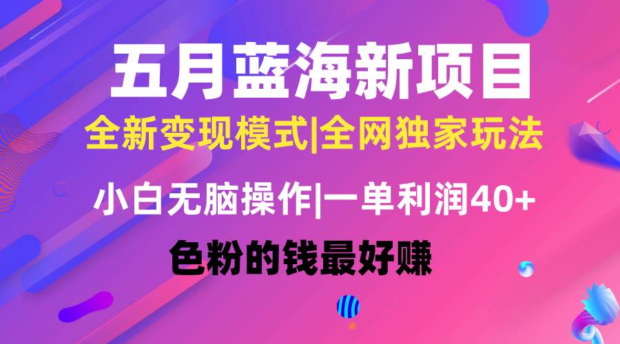 五月蓝海项目全新玩法，小白无脑操作，一天几分钟，矩阵操作，月入4万+网创吧-网创项目资源站-副业项目-创业项目-搞钱项目八百网赚