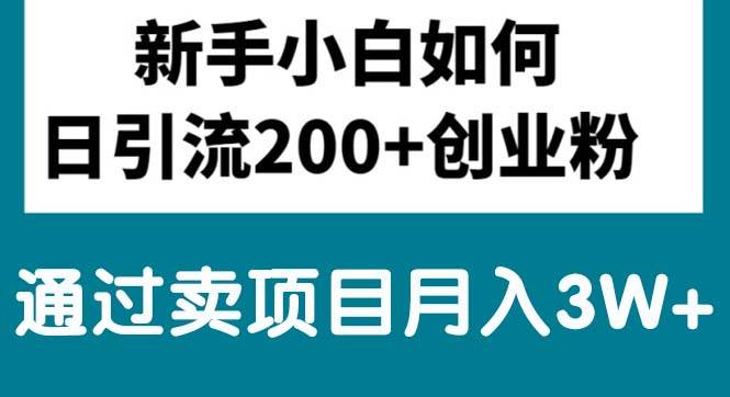 新手小白日引流200+创业粉,通过卖项目月入3W+网创吧-网创项目资源站-副业项目-创业项目-搞钱项目八百网赚