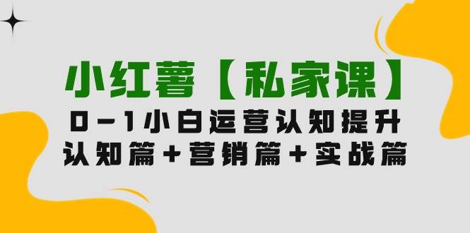 小红薯【私家课】0-1玩赚小红书内容营销，认知篇+营销篇+实战篇（11节课）网创吧-网创项目资源站-副业项目-创业项目-搞钱项目八百网赚