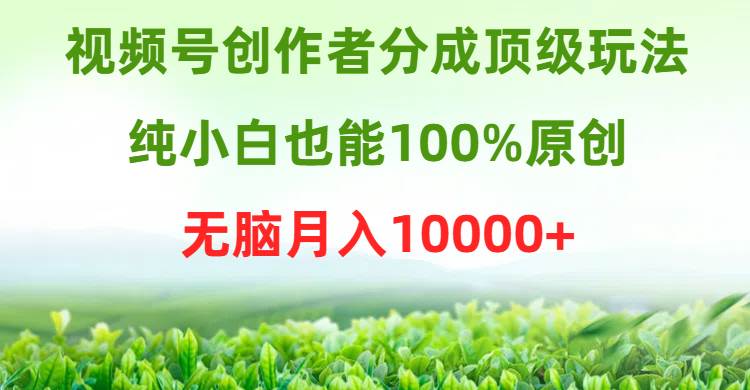 视频号创作者分成顶级玩法，纯小白也能100%原创，无脑月入10000+网创吧-网创项目资源站-副业项目-创业项目-搞钱项目八百网赚