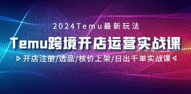 2024Temu跨境开店运营实战课，开店注册/选品/核价上架/日出千单实战课网创吧-网创项目资源站-副业项目-创业项目-搞钱项目八百网赚