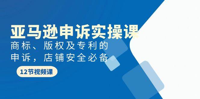 亚马逊-申诉实战课，商标、版权及专利的申诉，店铺安全必备网创吧-网创项目资源站-副业项目-创业项目-搞钱项目八百网赚