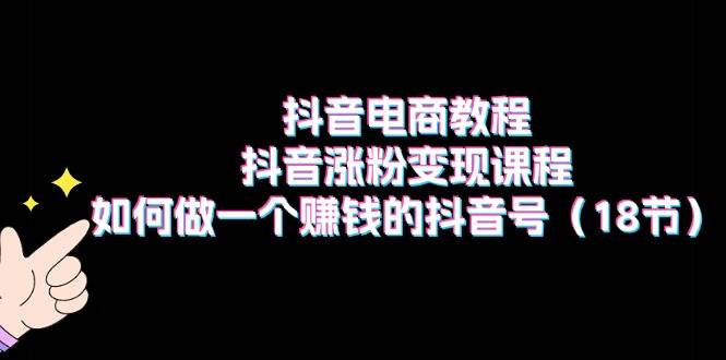 抖音电商教程：抖音涨粉变现课程：如何做一个赚钱的抖音号（18节）网创吧-网创项目资源站-副业项目-创业项目-搞钱项目八百网赚
