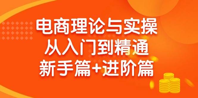 电商理论与实操从入门到精通 新手篇+进阶篇网创吧-网创项目资源站-副业项目-创业项目-搞钱项目八百网赚