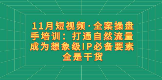 11月短视频·全案操盘手培训：打通自然流量 成为想象级IP必备要素 全是干货网创吧-网创项目资源站-副业项目-创业项目-搞钱项目八百网赚
