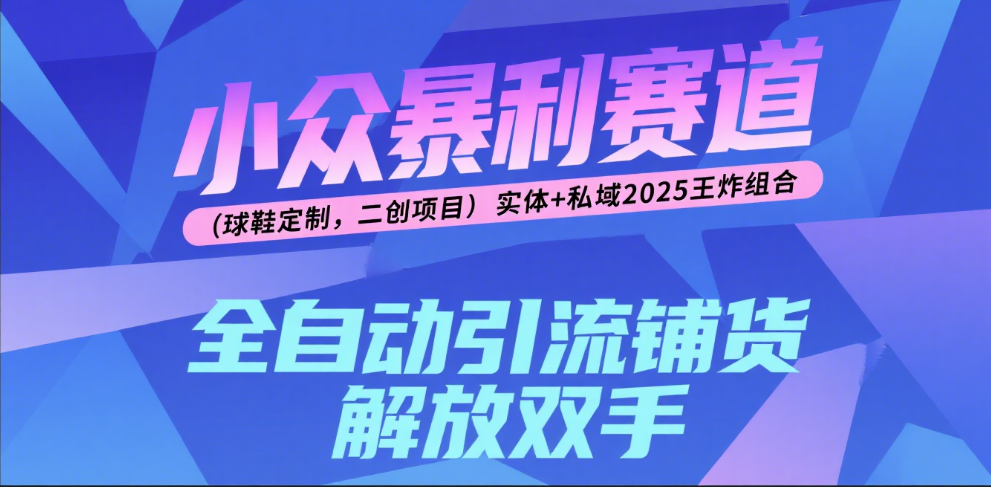 楠—小众暴利赛道（球鞋定制，二创项目）实体+私域2025王炸组合网创吧-网创项目资源站-副业项目-创业项目-搞钱项目八百网赚
