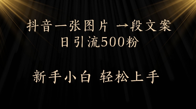 抖音一张图片，一段文案日引流500粉，新手小白 轻松上手网创吧-网创项目资源站-副业项目-创业项目-搞钱项目八百网赚
