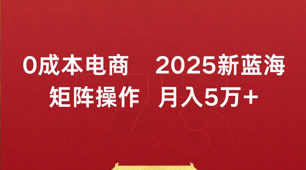 0成本电商2025新蓝海矩阵操作 月入5万+网创吧-网创项目资源站-副业项目-创业项目-搞钱项目八百网赚