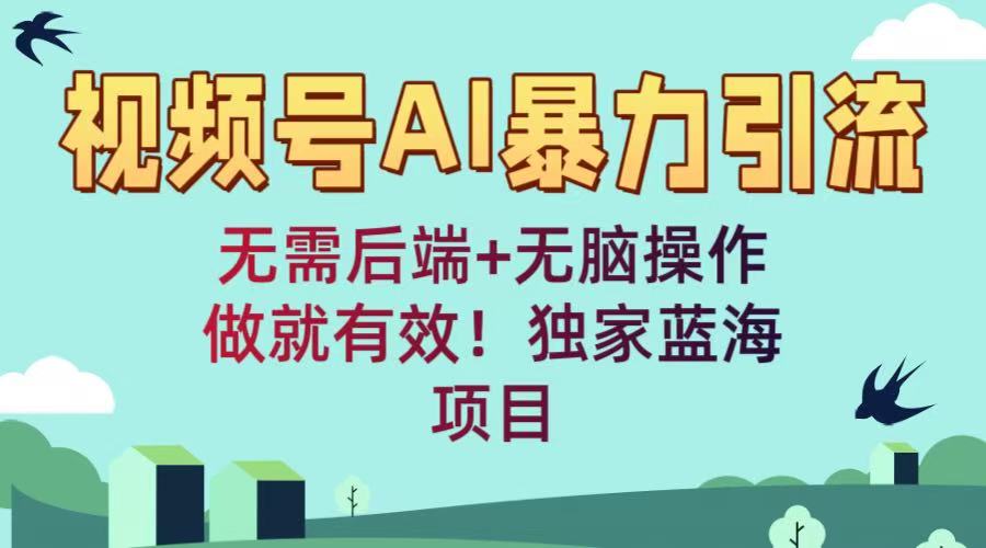 视频号AI暴力引流：无需后端+无脑操作，做就有效！独家蓝海项目网创吧-网创项目资源站-副业项目-创业项目-搞钱项目八百网赚