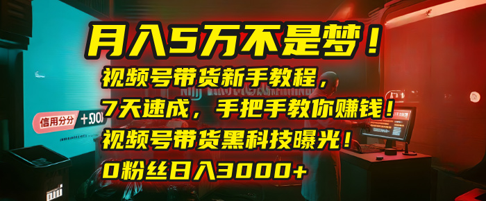 月入5万不是梦！视频号带货新手教程，7天速成，手把手教你赚钱！视频号带货黑科技曝光！0粉丝日入3000+网创吧-网创项目资源站-副业项目-创业项目-搞钱项目八百网赚