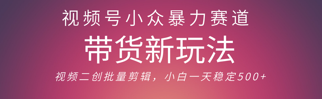 视频号小众暴力赛道，最新带货玩法 小白也能轻松日入500+ 保姆及教程网创吧-网创项目资源站-副业项目-创业项目-搞钱项目八百网赚