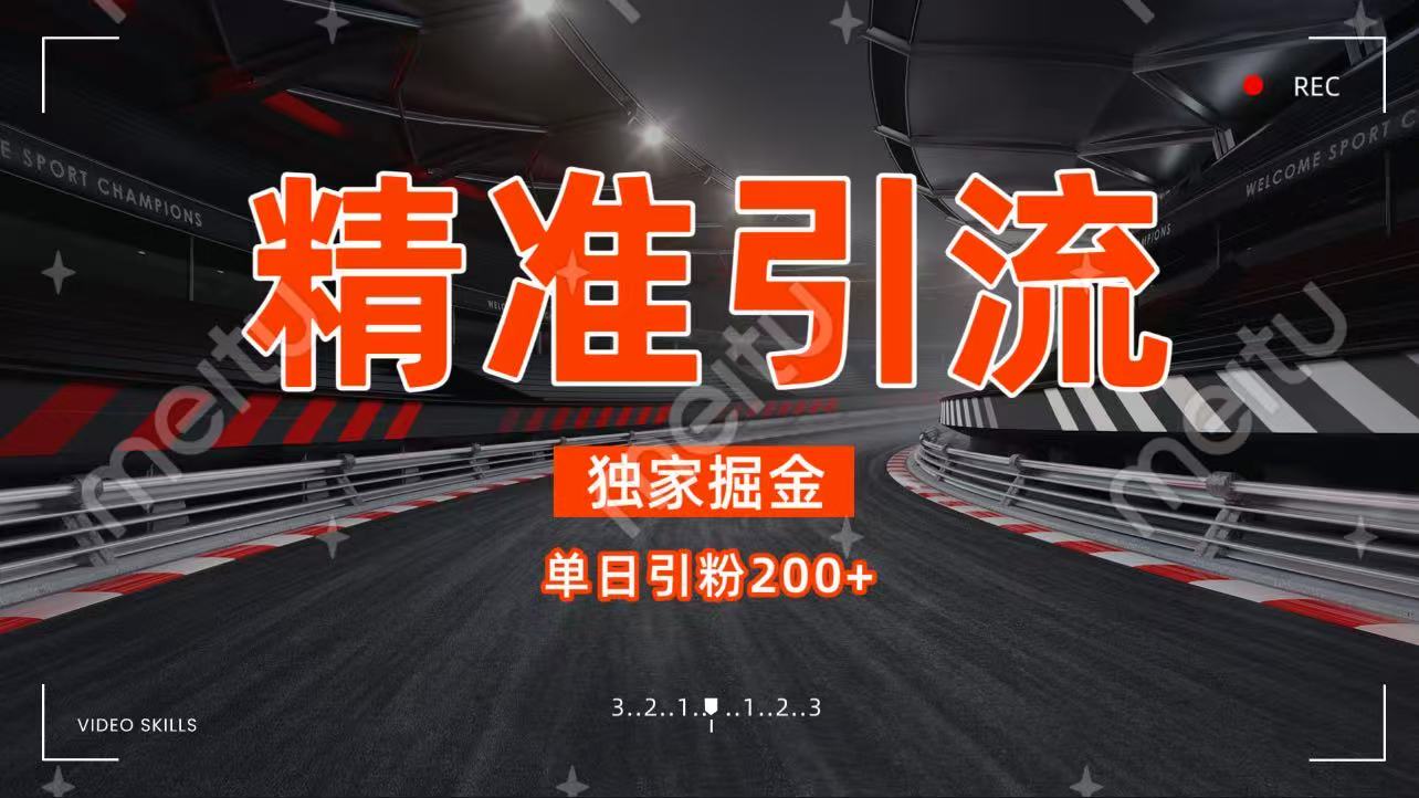 独家野路子精准引流 每日200+网创吧-网创项目资源站-副业项目-创业项目-搞钱项目八百网赚