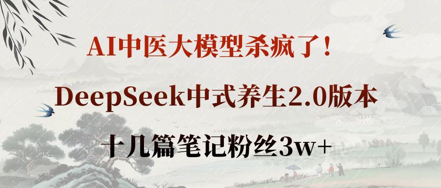 AI中医大模型杀疯了！DeepSeek中式养生2.0版本，十几篇笔记粉丝3w+网创吧-网创项目资源站-副业项目-创业项目-搞钱项目八百网赚